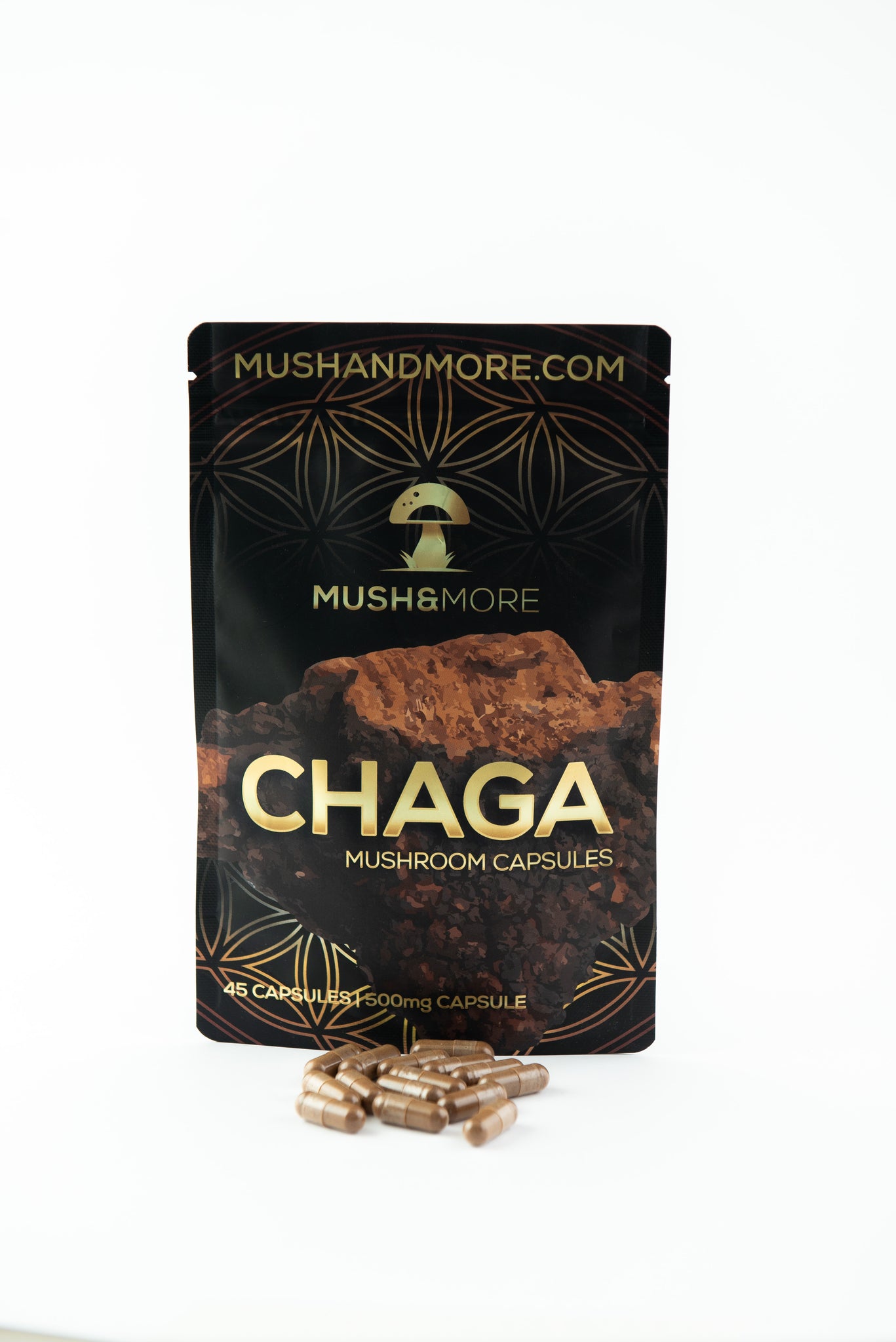 Chaga