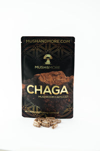 Chaga